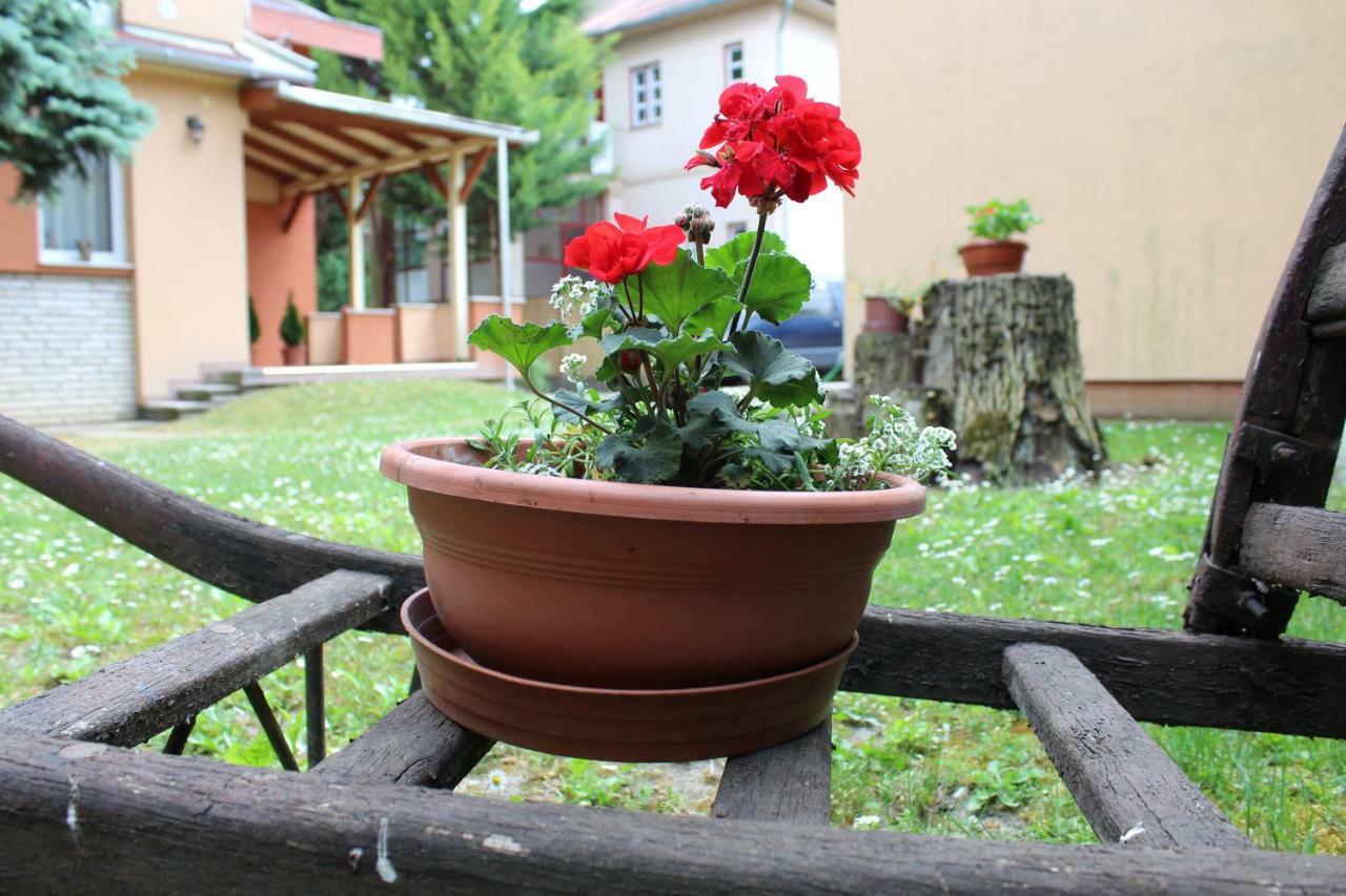 Strigonia Apartman Esztergom Exterior foto